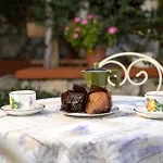 Anamaria Rustic