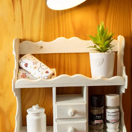 Anamaria Rustic