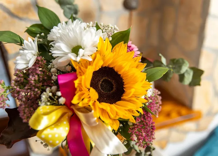 홈스테이 Anamaria Rustic *