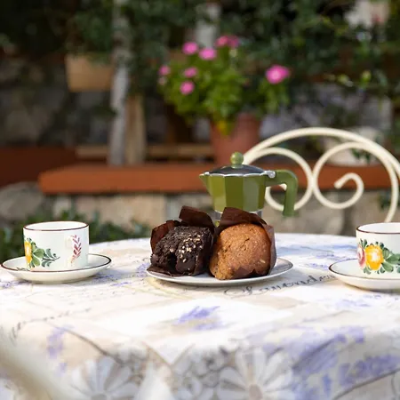 Anamaria Rustic