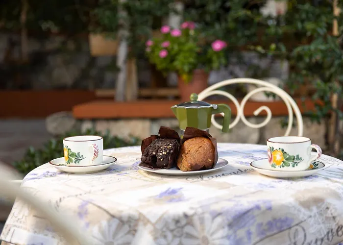 Anamaria Rustic
